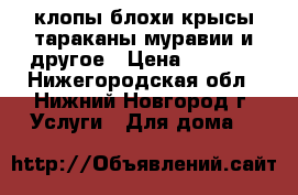 клопы блохи крысы тараканы муравии и другое › Цена ­ 1 000 - Нижегородская обл., Нижний Новгород г. Услуги » Для дома   